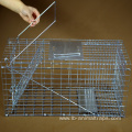 Squirrel Cage Trap With Foot Paddle